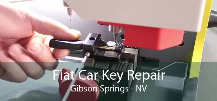 Fiat Car Key Repair Gibson Springs - NV