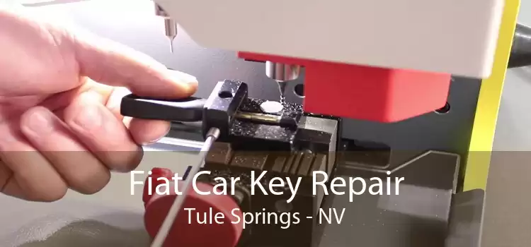 Fiat Car Key Repair Tule Springs - NV