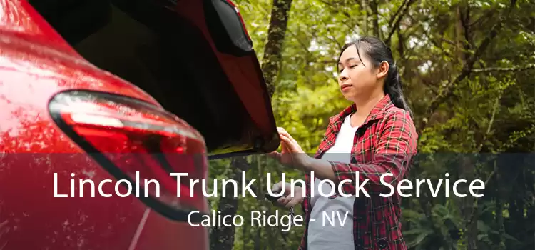 Lincoln Trunk Unlock Service Calico Ridge - NV